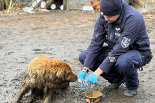 Sytuację uratował przypadkowy przechodzień