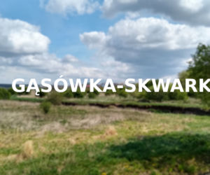 Gąsówka