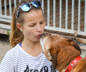 Lala czeka w schronisku już 9 lat, nie pozwól jej czekać ani chwili dłużej!