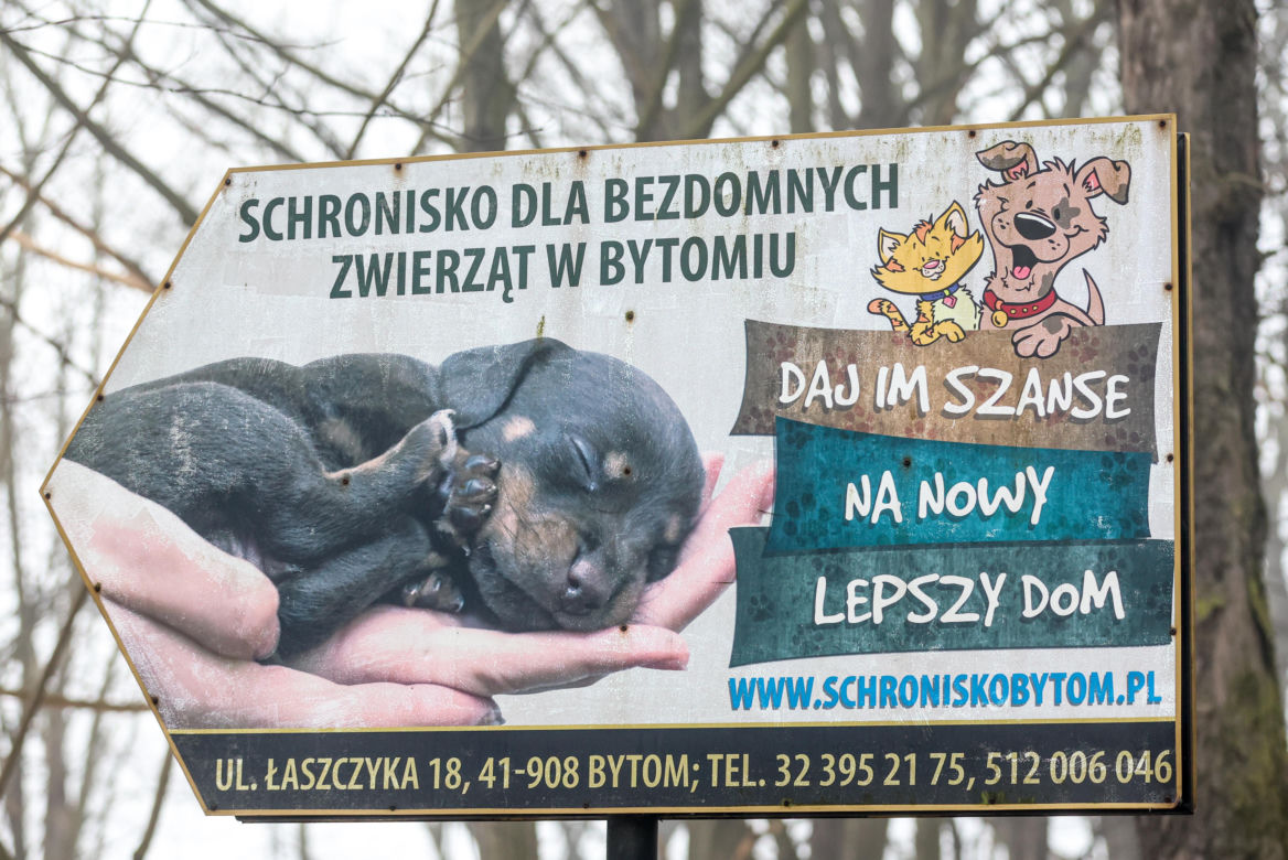Miał być protest milczenia, doszło do awantury. Gorąco pod schroniskiem w Bytomiu