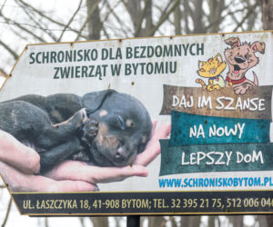 Miał być protest milczenia, doszło do awantury. Gorąco pod schroniskiem w Bytomiu