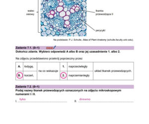 Matura 2026 z biologii ROZSZERZONEJ: odpowiedzi do wszystkich zadań z arkusza CKE 8.05.2026