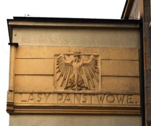 Będzie lekcja historii i przyrody! Radomska Dyrekcja Lasów Państwowych otwiera się na noc muzeów 