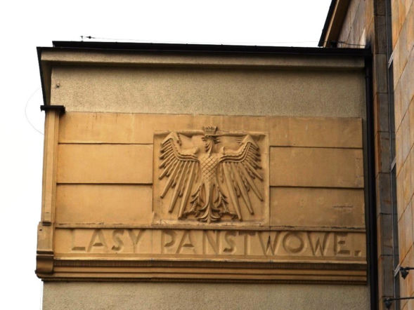 Będzie lekcja historii i przyrody! Radomska Dyrekcja Lasów Państwowych otwiera się na noc muzeów 