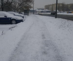 W Bydgoszczy znów prószy śnieg