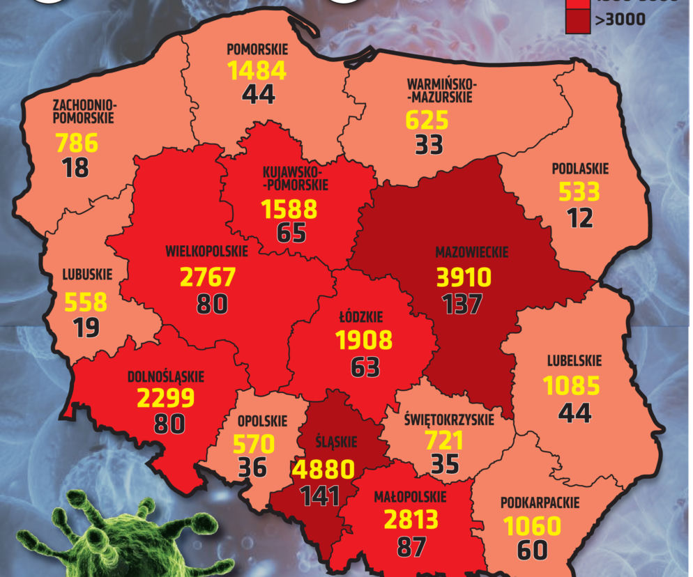 Koronawirus 8 kwietnia 2021. Ile jest nowych zakażeń i zgonów w czwartek?
