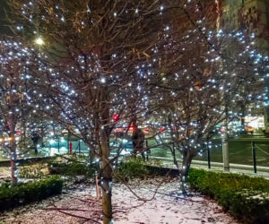 Iluminacje bożonarodzeniowe w Szczecinie