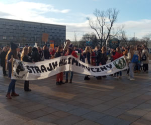 Wielki protest w Krakowie. Strajkowali w obronie klimatu 