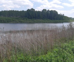 Zbiornik w Skrzyszowie - fotogaleria