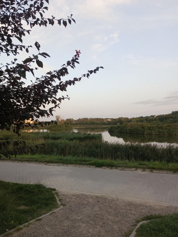Tu powstanie Park Południowy