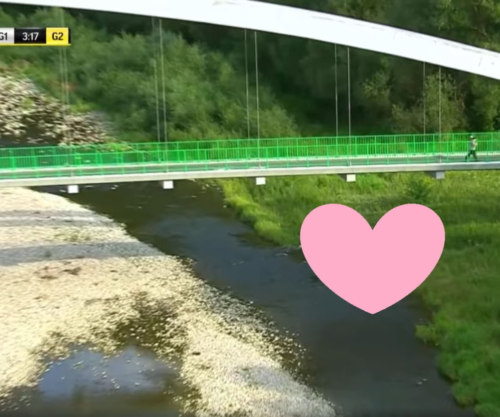 Podczas wyścigu Tour de Pologne dron przyłapał młodą parę. Ich mina mówi wszystko!