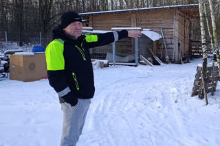 Wataha psów terroryzuje wieś. „Nie zaatakowały z głodu. To była napaść, by zabić”