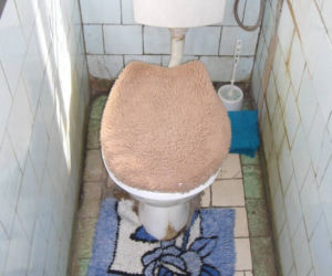 Zdjęcie 7483