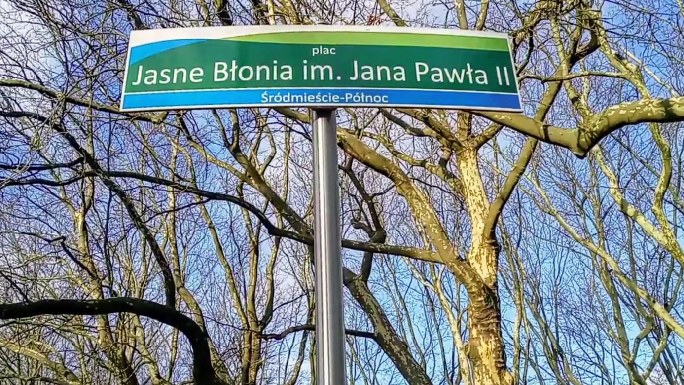 Pierwsze krokusy na Jasnych Błoniach w Szczecinie