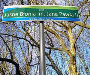 Pierwsze krokusy na Jasnych Błoniach w Szczecinie