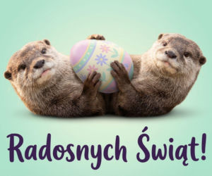 Gify wielkanocne 2026 na telefon - darmowe animacje