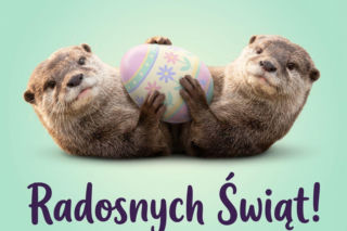 Gify wielkanocne 2026 na telefon - darmowe animacje