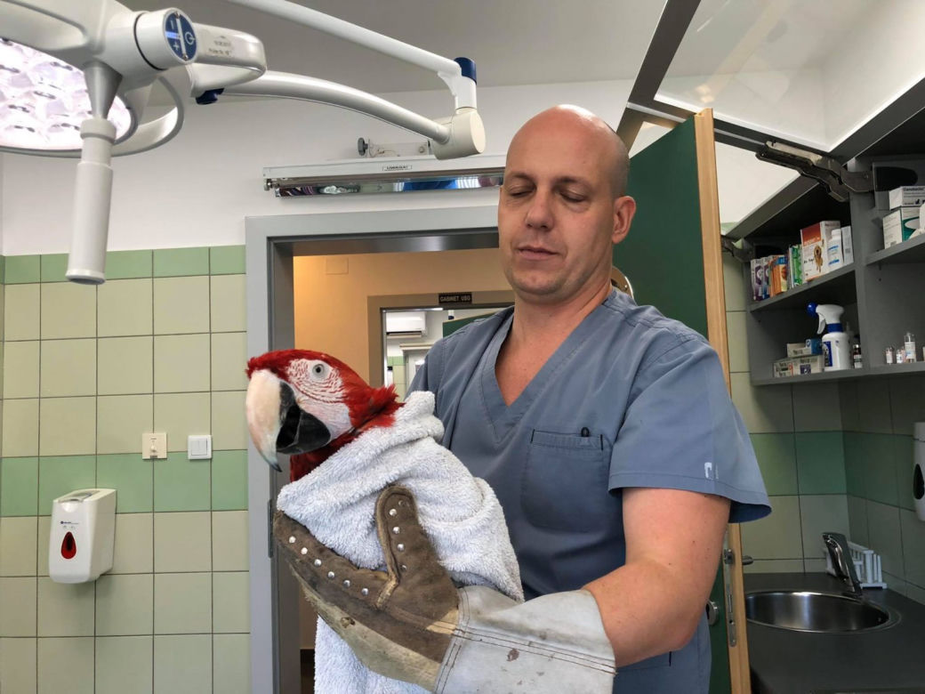 Doktorrrr Rrrradek rratuj!
