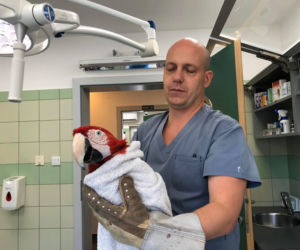 Doktorrrr Rrrradek rratuj!