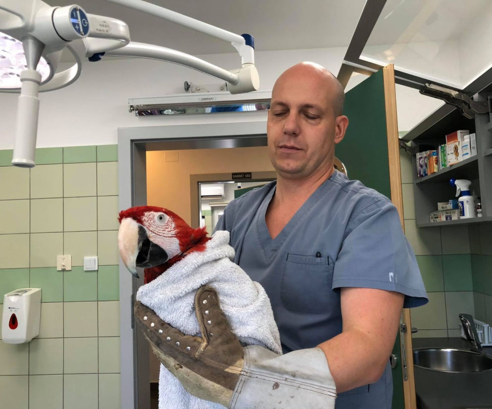 Doktorrrr Rrrradek rratuj!