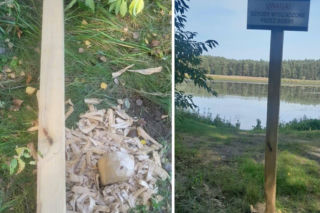 Leśnicy ustawili tablicę ostrzegającą przed bobrami. One odpowiedziały po swojemu