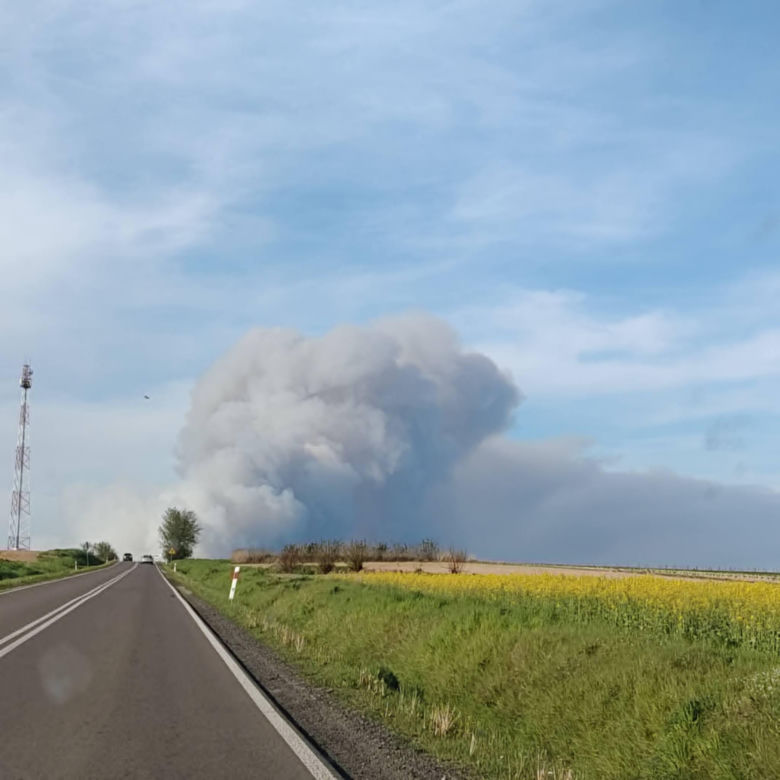 Pożar lasu koło Biłgoraja