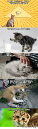 Panie Bożu, czy... wolno do nieba? O co chodzi w tych memach?
