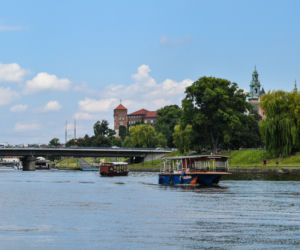 Kraków. Taki POTWÓR grasuje w Wiśle! Smok Wawelski złamał wędkę