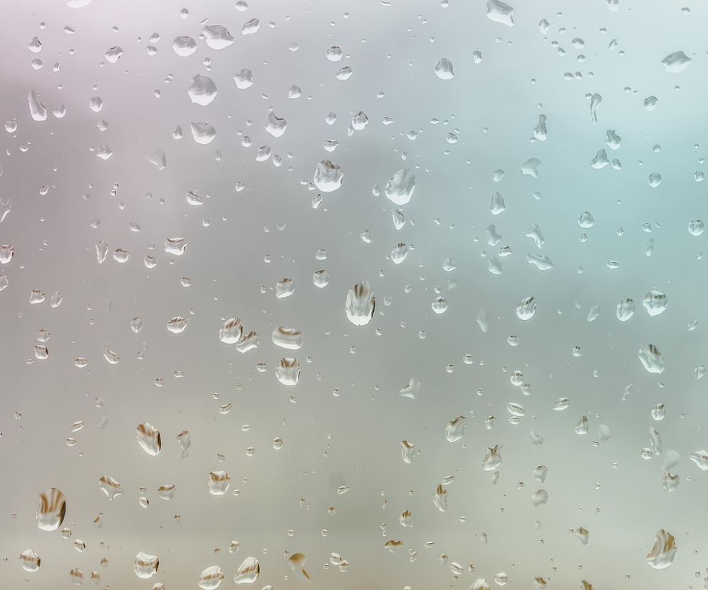 Płock. BARDZO SILNE podmuchy wiatru! A do tego deszcz i śnieg! [PROGNOZA POGODY]