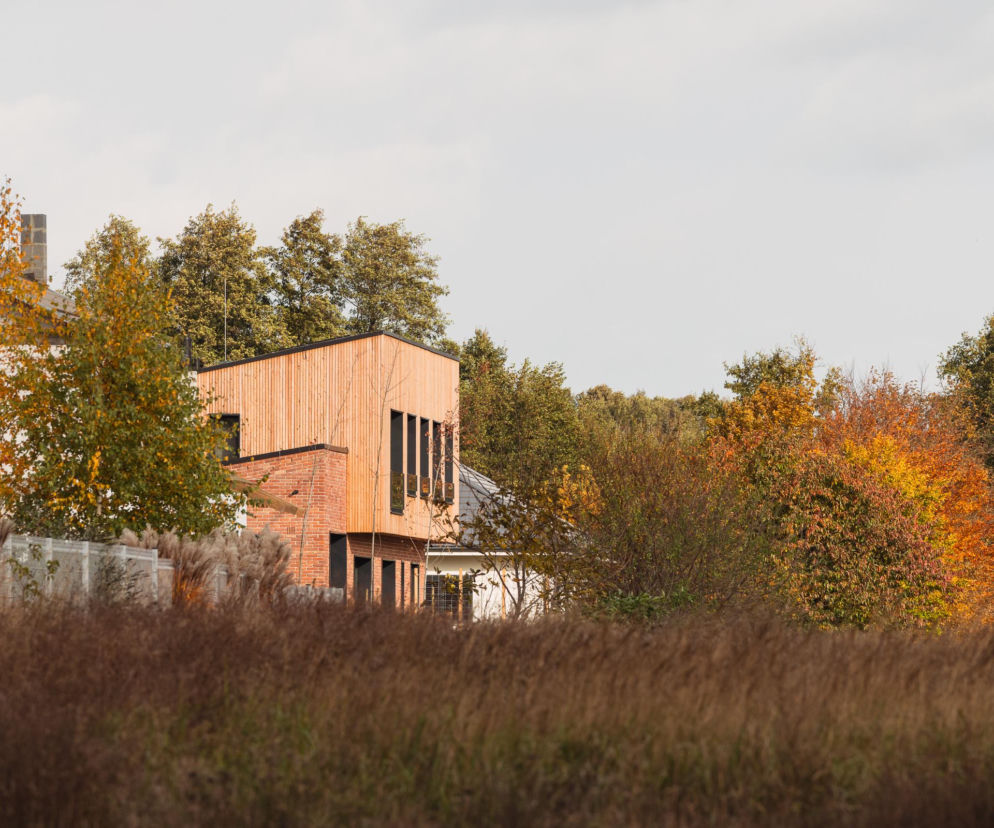 Nowoczesny dom jednorodzinny w Poznaniu, z elewacją z cegły i drewnianych paneli, wtapiający się w jesienny krajobraz. Otacza go wysoka trawa i drzewa o liściach w odcieniach zieleni, żółci i pomarańczy. Więcej o projekcie Studio Gab w Architektura Murator Plus.