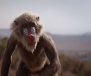 Król Lew - oryginał a nowa wersja filmu