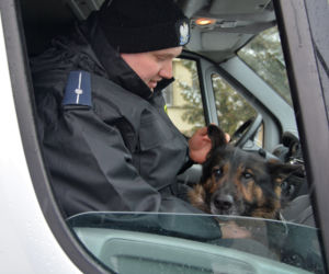 Tazer, policjant na 4 łapach, przeszedł na emeryturę