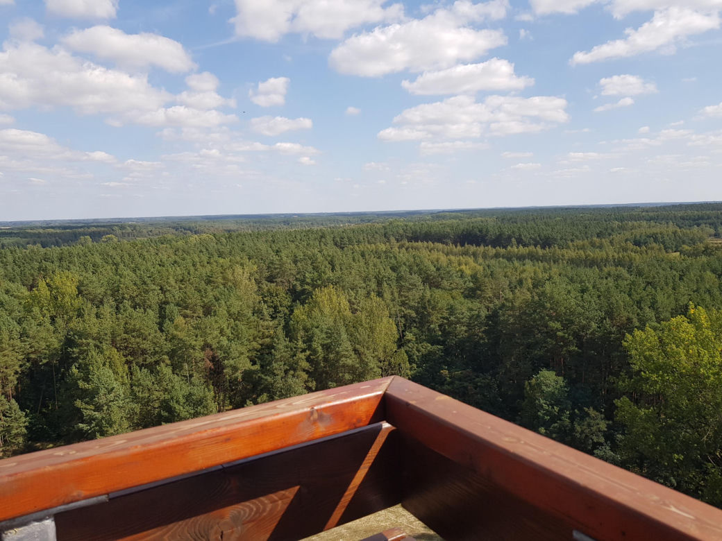 Wieża widokowa w Uhowie. To najwyższa wieża na Podlasiu [ZDJĘCIA]