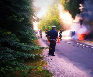 Zderzenie z sarną może skończyć się TRAGICZNIE. Auto 27-latki stanęło w płomieniach