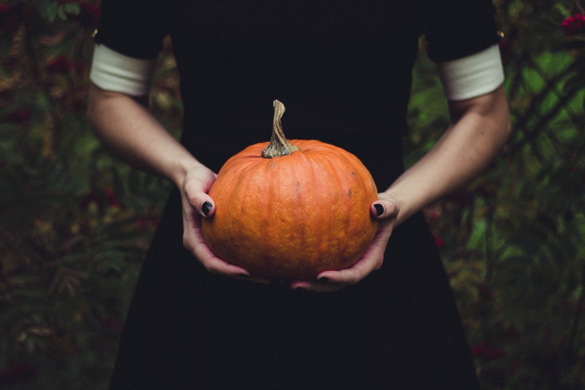 Halloween w kocim towarzystwie