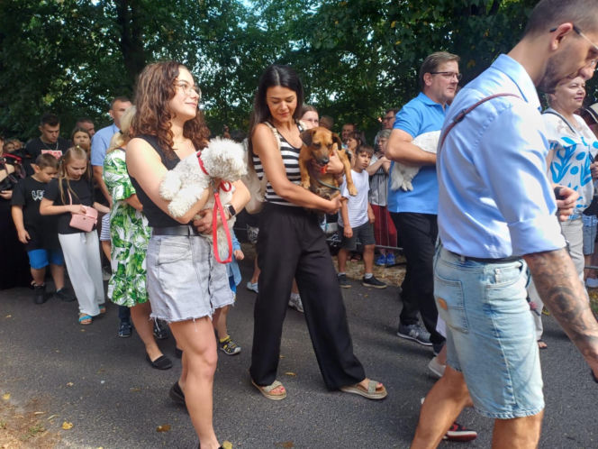Święcenie zwierząt u św. Rocha 2026