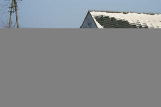 Śmiertelna libacja u posła Mojzesowicza