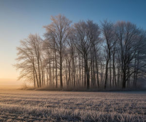 Ostrzeżenie IMGW przed przymrozkami. Gdzie temperatury spadną poniżej -8°C?