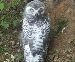mlode w zoo2