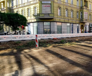 Z alei Wojska Polskiego wycięto kilkanaście drzew