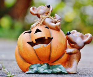 Święto Halloween wypada 31 października. W Warszawie nie zabraknie imprez z tej okazji. Podpowiadamy, jak spędzić tę noc. Zajrzyjcie do naszego informatora.