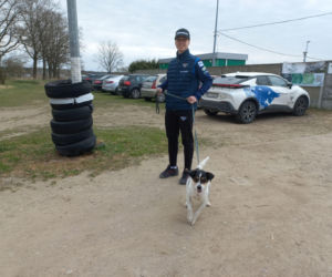 Przybyło psów w schronisku w Henrykowie koło Leszna. Ilość zatrważająca