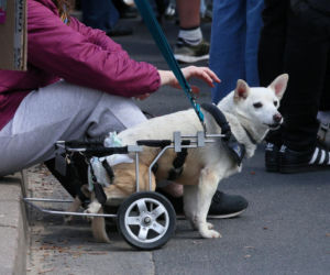 Poświęcił im swoją kampanię wyborczą. Przyszły na pogrzeb Łukasza Litewki. Oczy od razu się zaszkliły