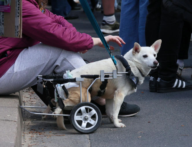 Poświęcił im swoją kampanię wyborczą. Przyszły na pogrzeb Łukasza Litewki. Oczy od razu się zaszkliły
