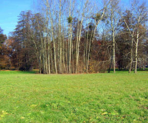 Park Wschodni