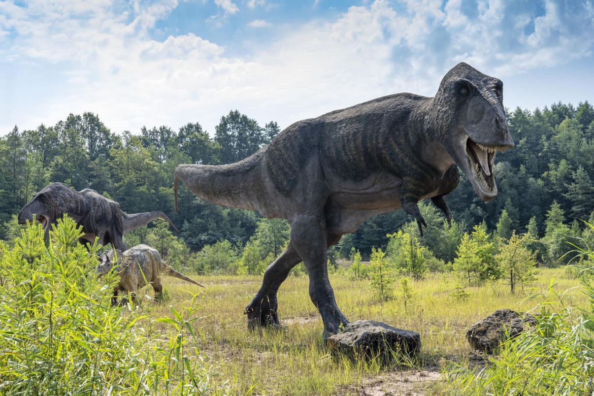 JuraPark Krasiejów