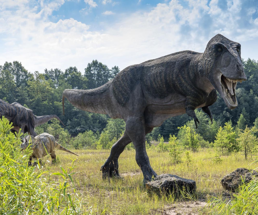 JuraPark Krasiejów