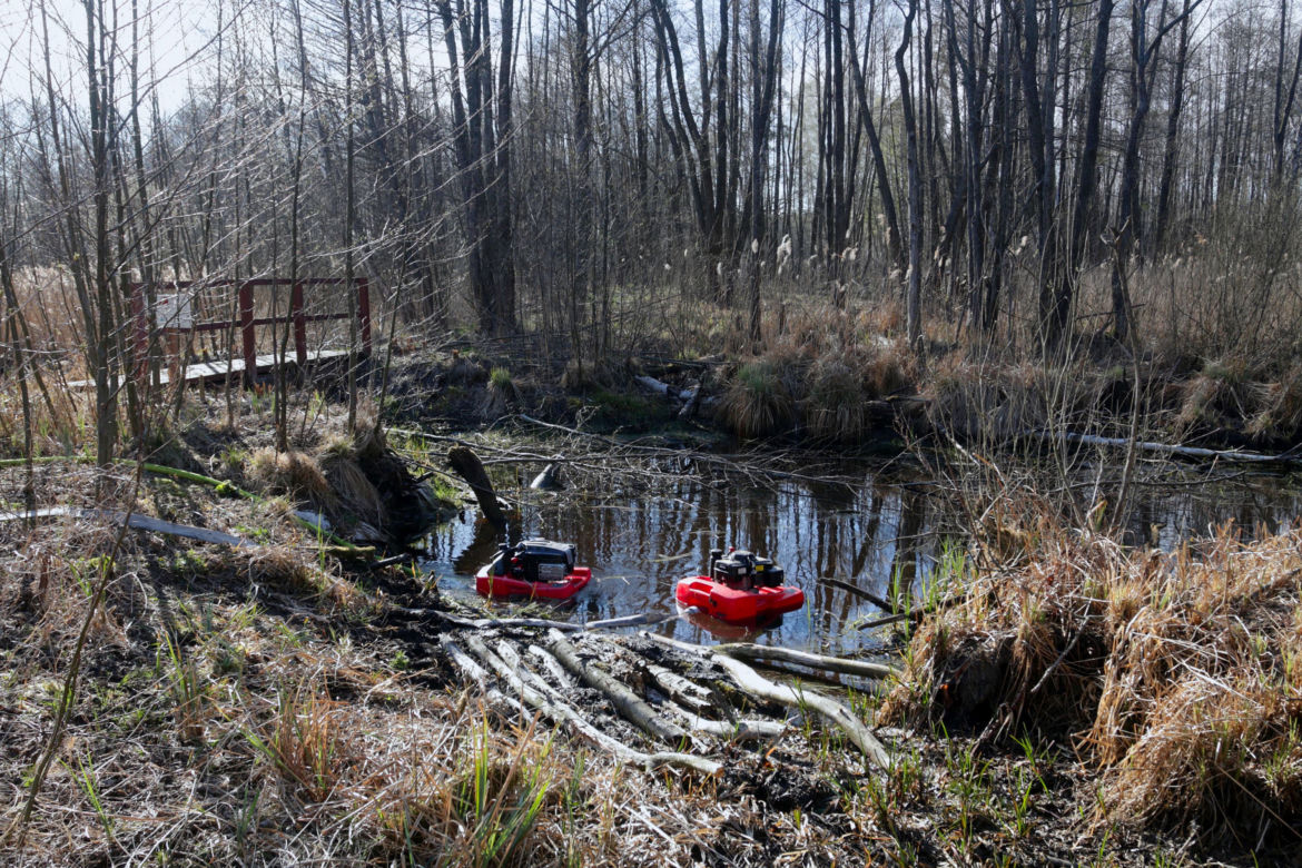 Biebrzański Park Narodowy UGASZONY. Zobacz, jakie zniszczenia spowodował ogień