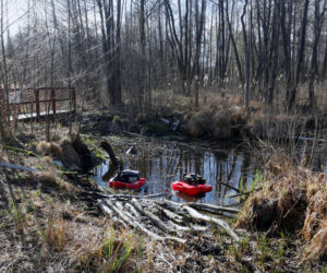 Biebrzański Park Narodowy UGASZONY. Zobacz, jakie zniszczenia spowodował ogień