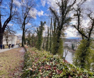 Wiosna przyszła wcześniej niż zwykle. Tu widać to najlepiej